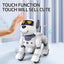 RC Robot Dog Toy - Mini Stunt Dog with Dancing, Walking, and Touch Function for Kids and Adults Ages 6+