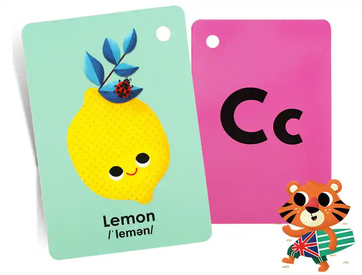 Front and Back Double-Sided Kids Educational Vocabulary Paper Flash Cards Printing