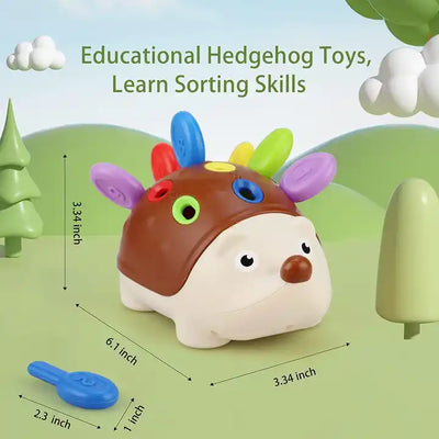 Educational Hedgehog Toys | Fun Learning Experience | DDP Door to Door