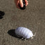 RC Bug Remote Control Worm - Realistic Pillbug Prank Toy for Kids