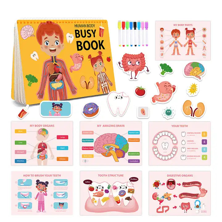 Human Body Structure Puzzle Quiet Busy Felt Book – Early Educational Learning Toy for Kids | Interactive Activity Book