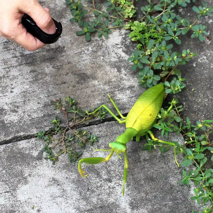 Electric Infrared Remote Control Praying Mantis - Realistic Walking Insect Toy