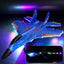 Dynamic F-22 Raptor Remote Control Jet Fighter Toy - 2.4GHz 6-Axis Gyro Plane with LED Light Strip