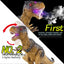 RC Walking Dinosaur Toy - Electric Simulation Spray Dinosaur with Remote Control for Kids Ages 5-10 Years