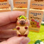 Kids Decorative Figures Set PVC Cute Character Cartoon Doll Capybara Collection 3D Toy Anime Action Figure Mystery Box