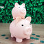 Pig-Shaped Money Box | Plastic Piggy Coin Bank for Kids