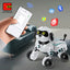 Dancing Robot Dog Toy - Multifunctional RC Electronic Pet for Kids