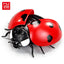 Infrared RC Ladybug Toy - Simulation Animal Remote Control Pet for Kids Ages 5-10 Years