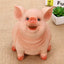 Pink Pig Dog Shaped Coin Bank | Cartoon Piggy Bank for Children | Perfect Birthday Gift & Household Decoration